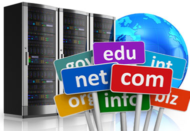 Domain & Web Hosting